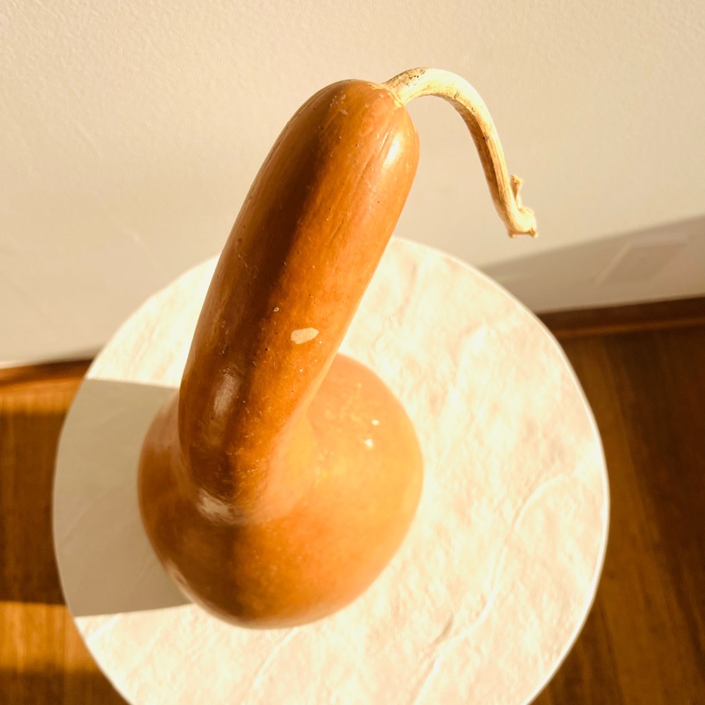 GORGEOUS DRIED ORGANIC‎ GOURD - BEAUTIFUL SHAPE AND COLOUR - Picture 4 of 5